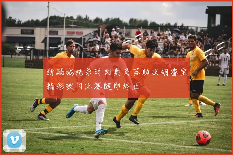 新鹏城绝杀时刻奥乌苏助攻胡睿宝精彩破门比赛随即终止